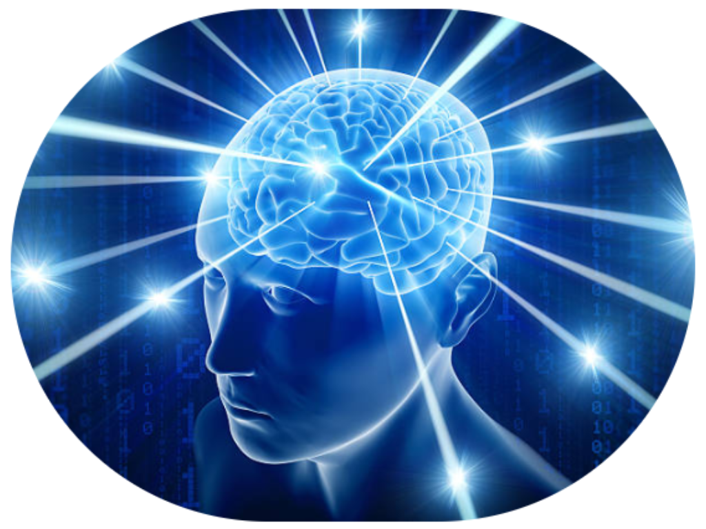 Imagem representando a inteligência organoide, ou seja, um computador com neurônios.